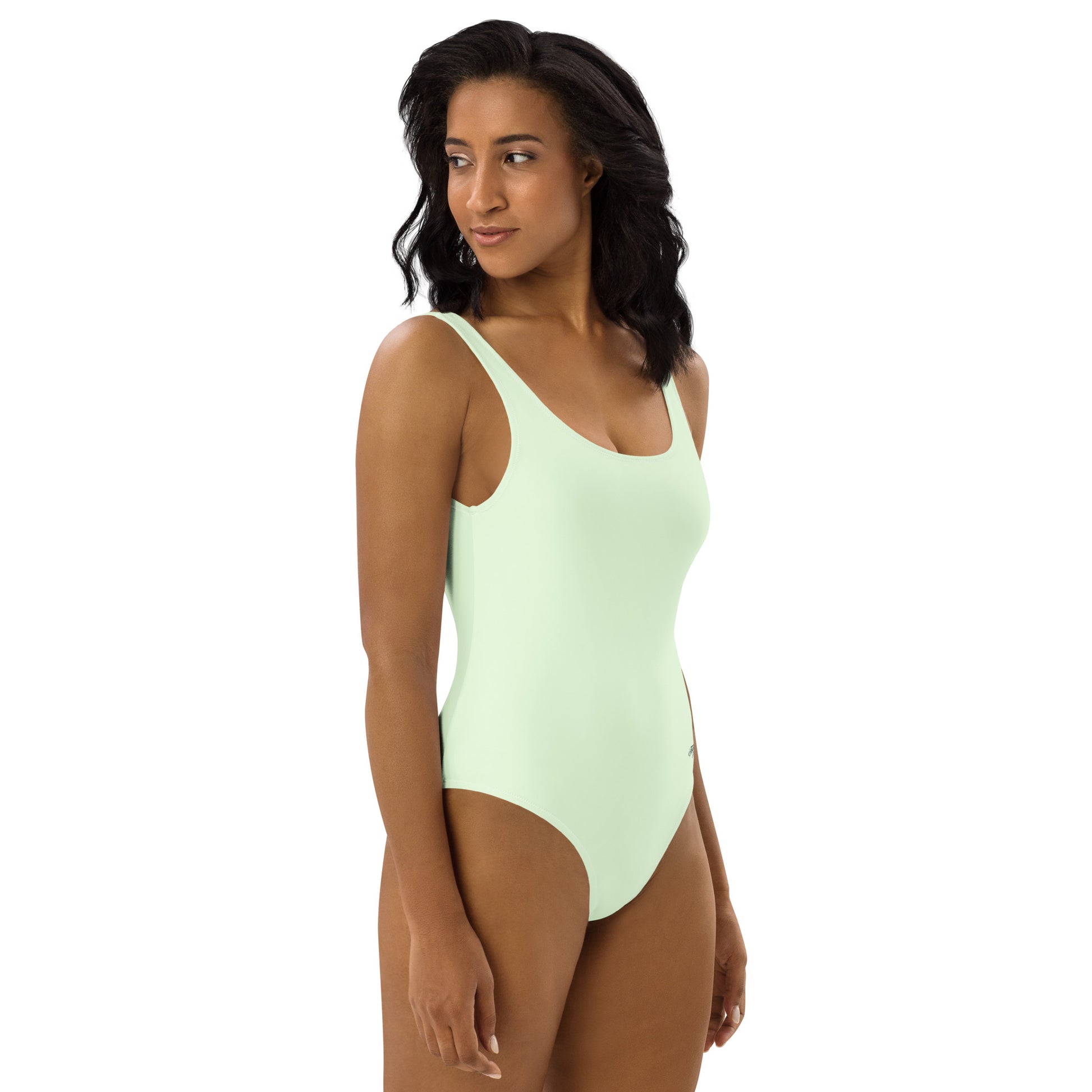 Panache Minimalist Chic One-Piece Swimwear | Solid Color Collection | 2026 Summer Essentials felindesign - FelinDesign